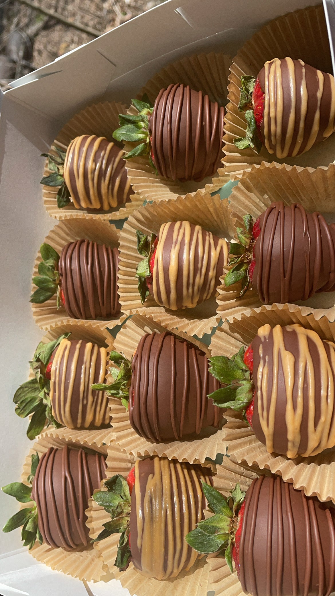 Classic drizzled dozen berries