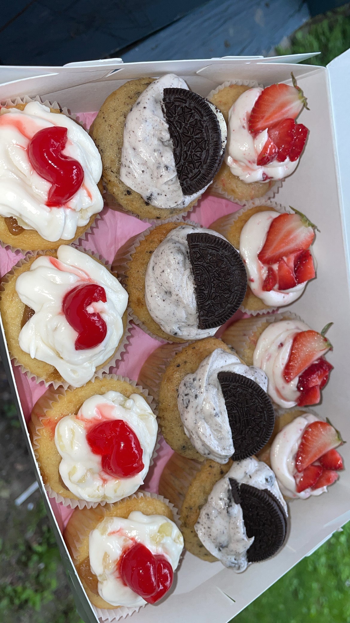 Mini cupcake sampler dozen